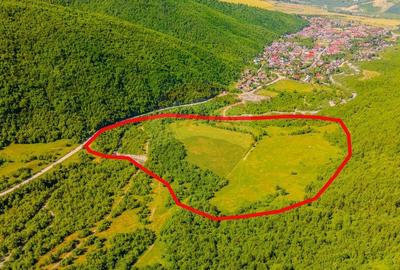 Teren 128.000 mp-Sacele-zona Garcini/ Intravilan - 2