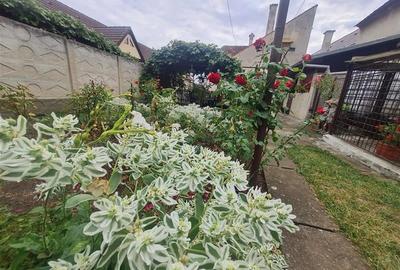 Poveste saseasca la umbra vitei de vie, cu crama si gradina cu flori, Central Co - 44