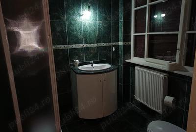 Vila de inchiriat D+P+E+M in zona Prefectura - 1