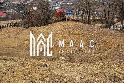 Teren de 3000 mp, în Albac - 2