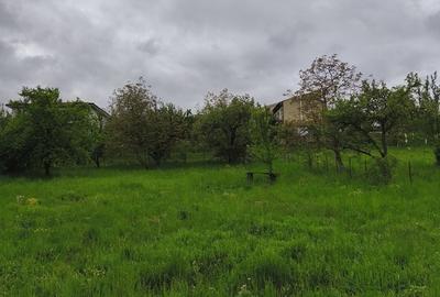 Spațiu comercial, în Borhanci