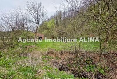 Teren de 9500 mp, în Nojag - 9