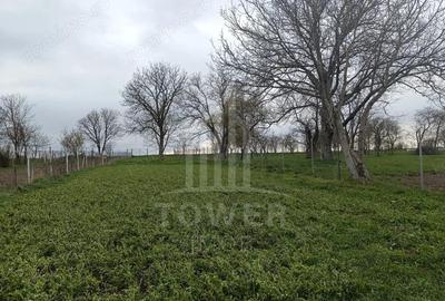 Casa de vanzare in satul Ro?ia cu vedere panoramica spre Mun?ii Fagaras - 19