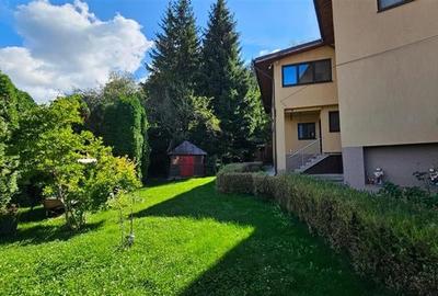 Tur LIVE!Casa cu arhitectura traditionala, curte spatioasa,foisor,Rucar. Bran - 21