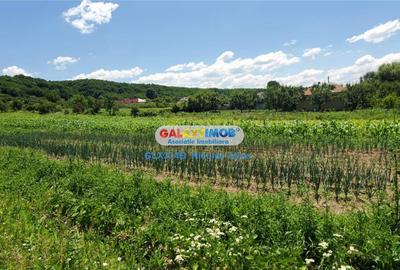 Teren Construcții intravilan de 12765 mp, în Bogați - 3