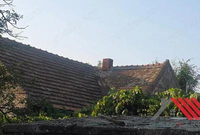 Topolova?u Mare Casa si Teren 1683 mp - 48.500 euro - 9