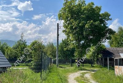 Teren intravilan 4100 mp in Avrig zona Valea Avrigului - 5