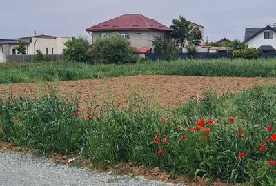Spațiu comercial, în Bălăceanca - 5
