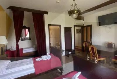 Casă cu 7 camere cu Teren 3000 Mp în Central - 9