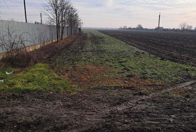 Spațiu comercial, în Central