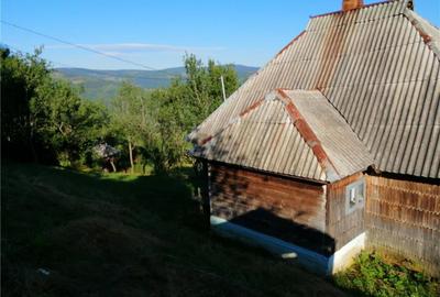 Casă cu 1 camere în Fericet - 9