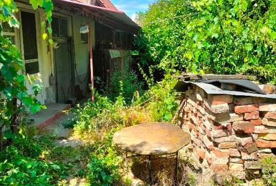 Casa de vanzare cu gradina - 3