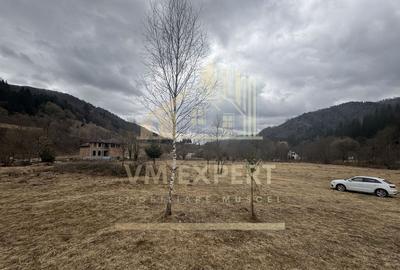 TEREN INTRAVILAN 500 MP SATIC- RUCAR - 7