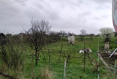 Spațiu comercial, în Coldău - 4