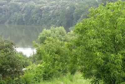 Vila, mercure conacul cozieni, bucuresti Vila, mercure conacul cozieni, bucuresti - 1