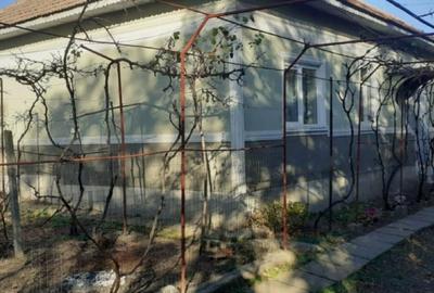 Casă individuală cu 4 camere cu Teren 3000 Mp în Brastavățu - 1