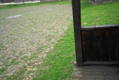 Teren de 746 mp, în Borca - 2