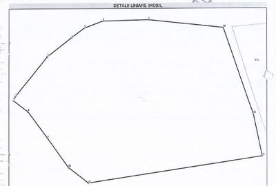 Teren extravilan-Loc. Roscani, comuna Dobra, judetul Hune... - 2
