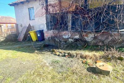 Casă cu 3 camere cu Teren 1163 Mp în Central - 13