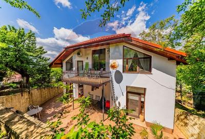 Vila cu 6 camere de vanzare - 23