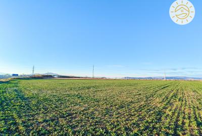 Teren intravilan 22800mp la 2km de Parcul Industrial Prejmer - 3