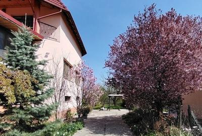 Casă cu 4 camere în Ștefănești - 4