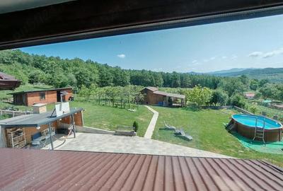 Casă cu Teren 3600 Mp în Bejan - 9
