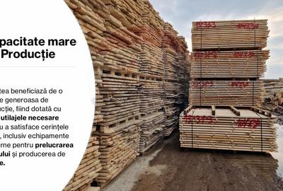 Spațiu industrial, de 7,756 mp, în Cerăt - 36