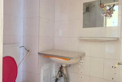Apartament cu 3 camere decomandat în Trocadero - 26