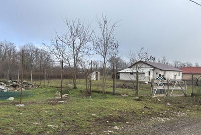 Spațiu comercial, în Istria - 14