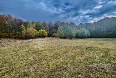 Teren la padure, panoramic dealuri si paduri, curent si asfalt - 3