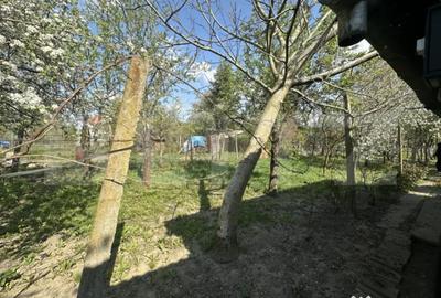 Teren în Bercu Roșu - 2