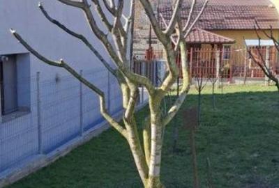 Casă cu Teren 474 Mp în Dâmbul Rotund