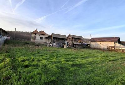 Casă cu 5 camere cu Teren 4443 Mp în Nicolae Bălcescu - 1