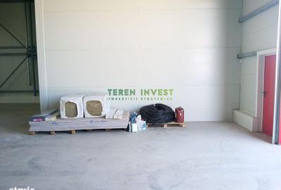 Spațiu comercial, de 550 mp, în Frumușani - 12