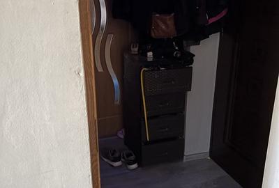 Apartament cu 2 camere decomandat în Trivale - 5