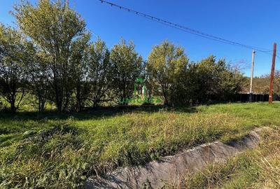 Teren intravilan/Str Balciului/Copacelu - 3