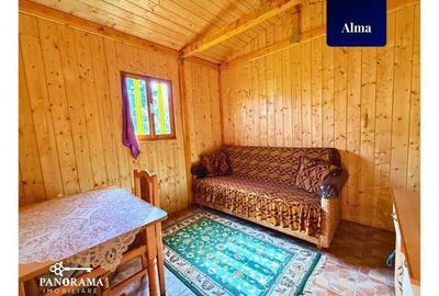 Spațiu comercial, în Alma - 15