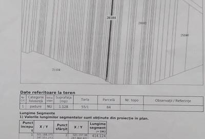 Casă cu 4 camere cu Teren 2752 Mp în Traian - 10