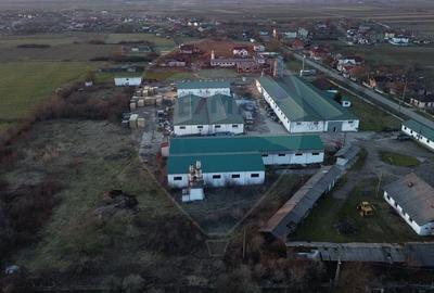 Spatiu industrial de vanzare 4,500mp HALE / 35,0000mp TEREN - 8