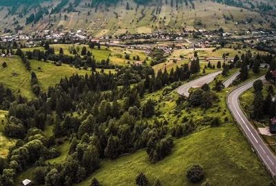 Teren de 30000 mp, în Sadova - 4