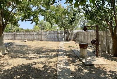 Casă cu 6 camere cu Teren 4614 Mp în Lăstuni - 3