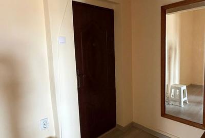 Apartament cu 3 camere decomandat în Ultracentral - 19
