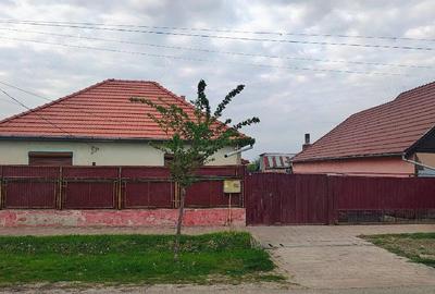 Casă cu 3 camere cu Teren 1439 Mp în Central - 2