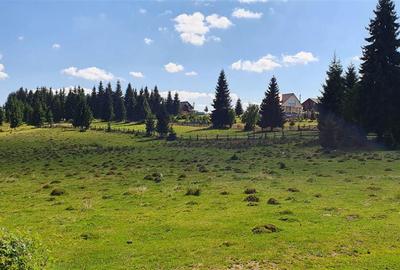 Teren Construcții de 1350 mp, în Beliș - 6