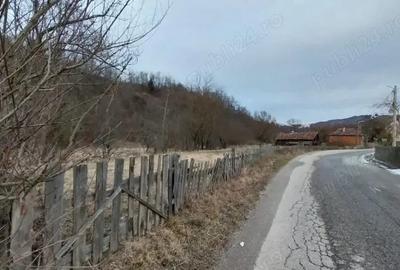 Casă în Central - 5