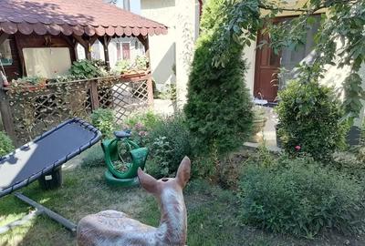 Casă cu 2 camere în Cobadin - 4