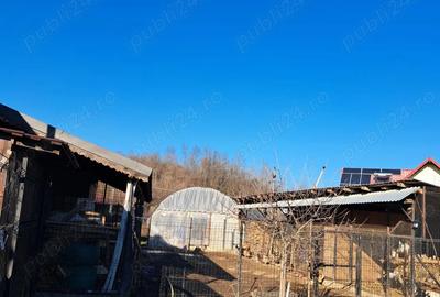 Casă cu 2 camere cu Teren 6000 Mp în Dobroteasa - 5