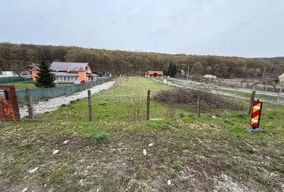 Teren de 3258 mp, în Hidiș - 7