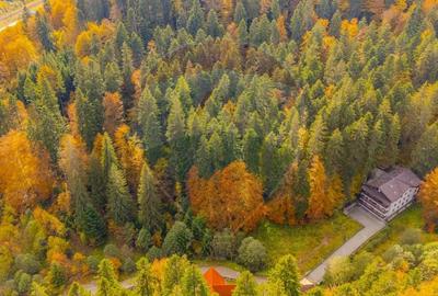 Comision 0 | Teren intravilan de vanzare Predeal, Bra?ov 908 mp - 1